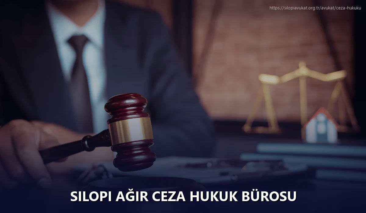 Silopi Ağır Ceza Hukuk Bürosu