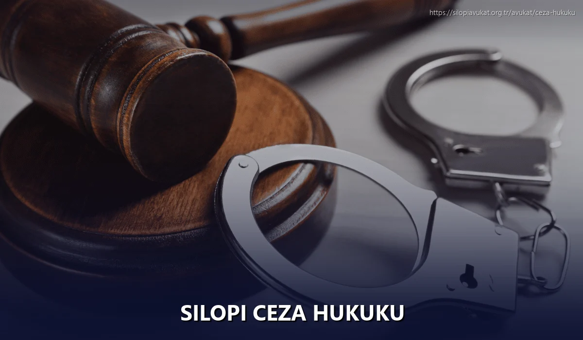 Silopi Ceza Hukuku